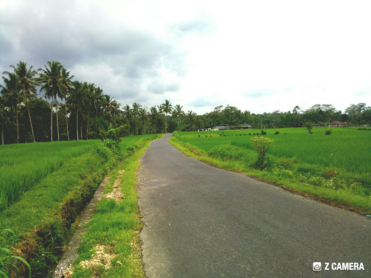 Vila Amara Giri I Ubud Exteriér fotografie