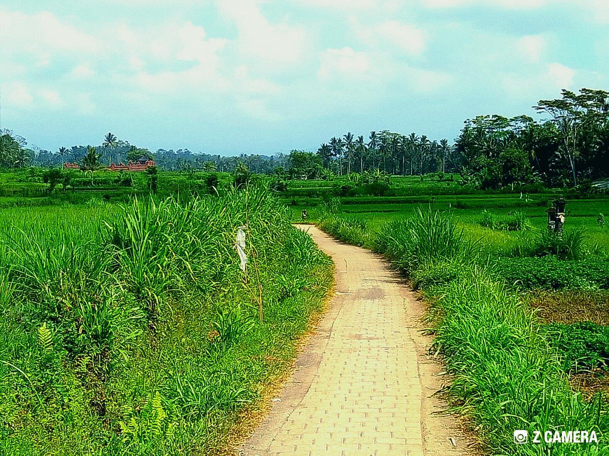 Vila Amara Giri I Ubud Exteriér fotografie