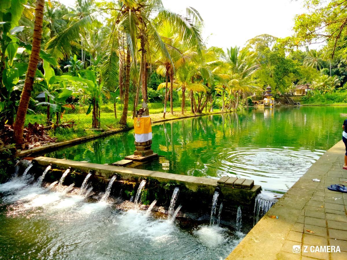 Vila Amara Giri I Ubud Exteriér fotografie